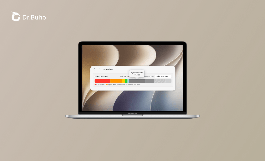 Mac Systemdaten bereinigen