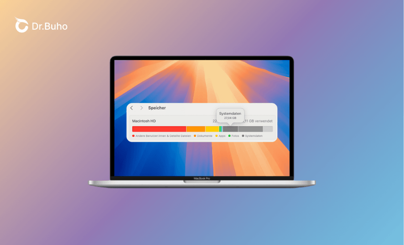 Mac Systemdaten sehr groß? mit 10 Tipps Speicher bereinigen Dr.Buho