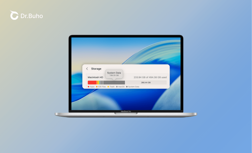 Mac "System Data" Storage Too Large? 10 Ways to Clear It