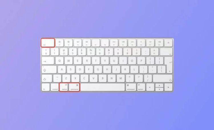 control alt delete Mac