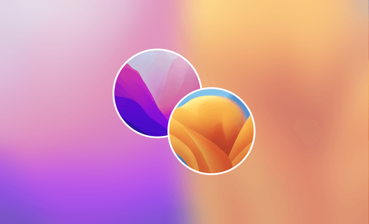 Comment vider le cache sur Mac (Ventura & Monterey)