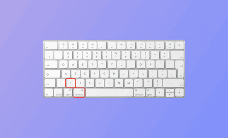 how to undo on Mac