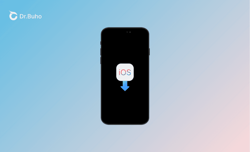 Top 5 iOS Downgrade Tools  [iOS 18 Supported]