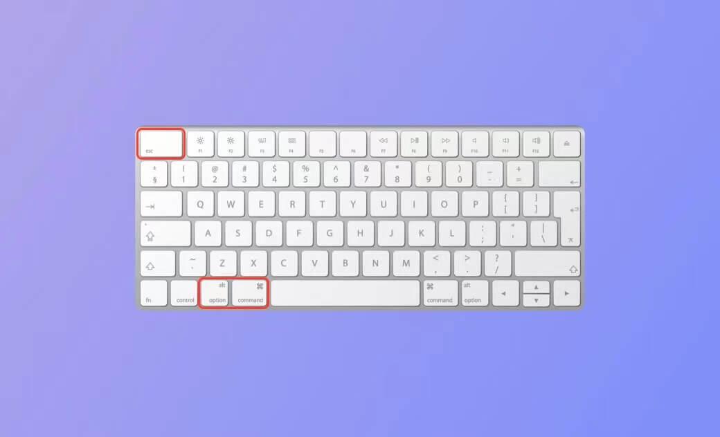 control alt delete Mac