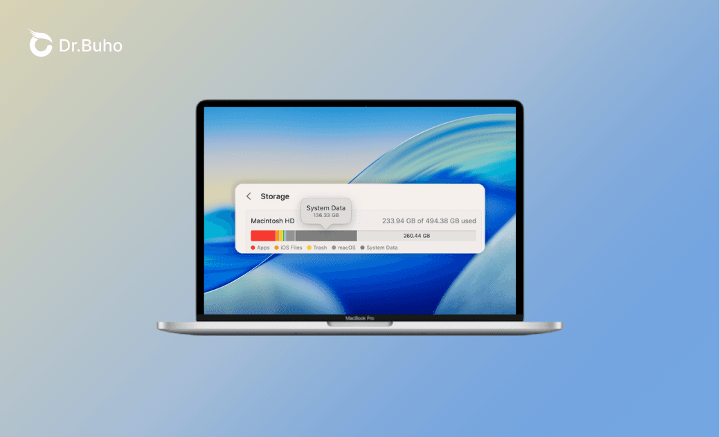 Mac "System Data" Storage Too Large? 10 Ways to Clear It