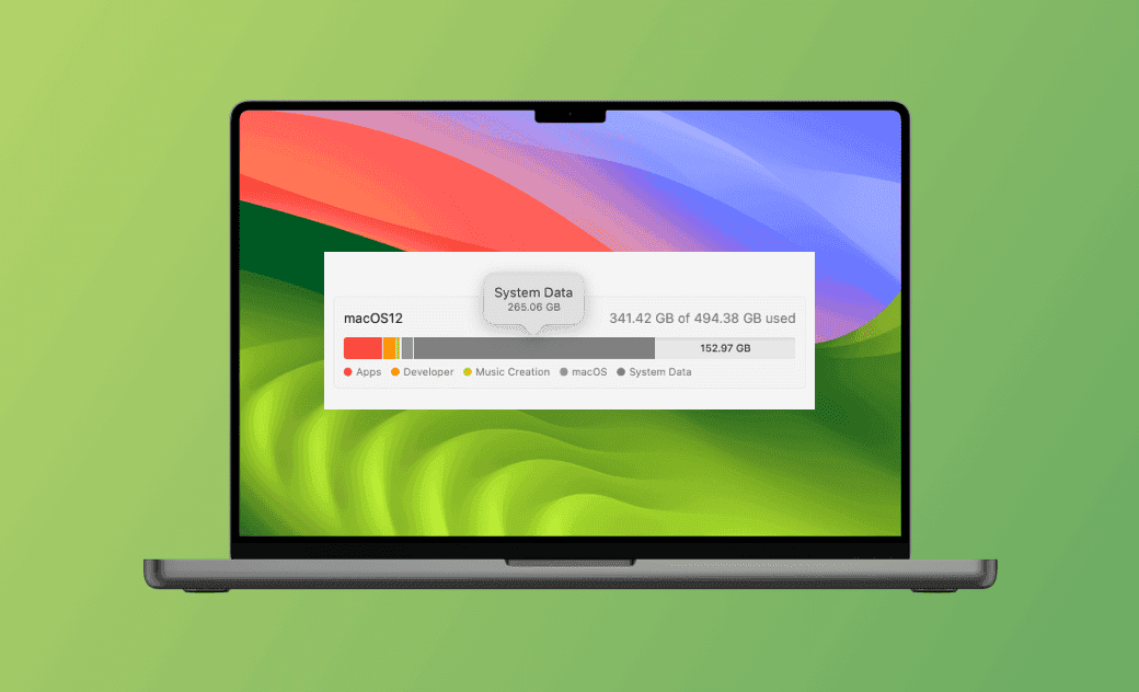 Mac System Data Storage Large? 9 Ways to Clear It