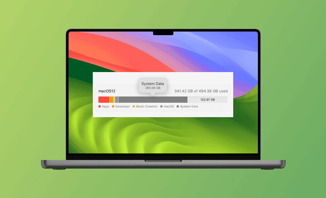 Mac "System Data" Storage Large? 10 Ways to Clear It