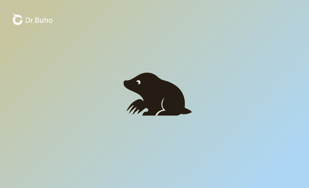 Mole 評測：測試 3 天後，我的真實看法