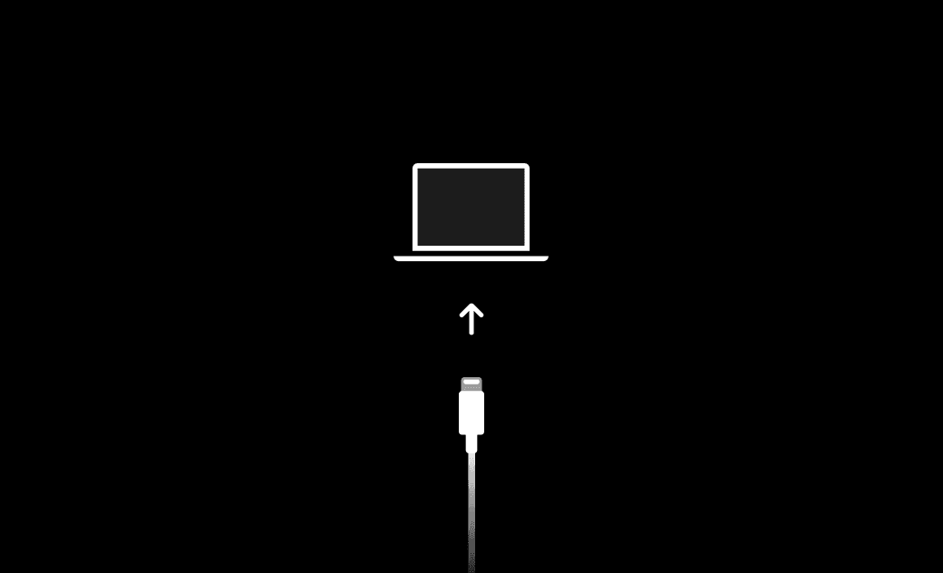 Manually Put iPhone/iPad/iPod Touch in Recovery Mode
