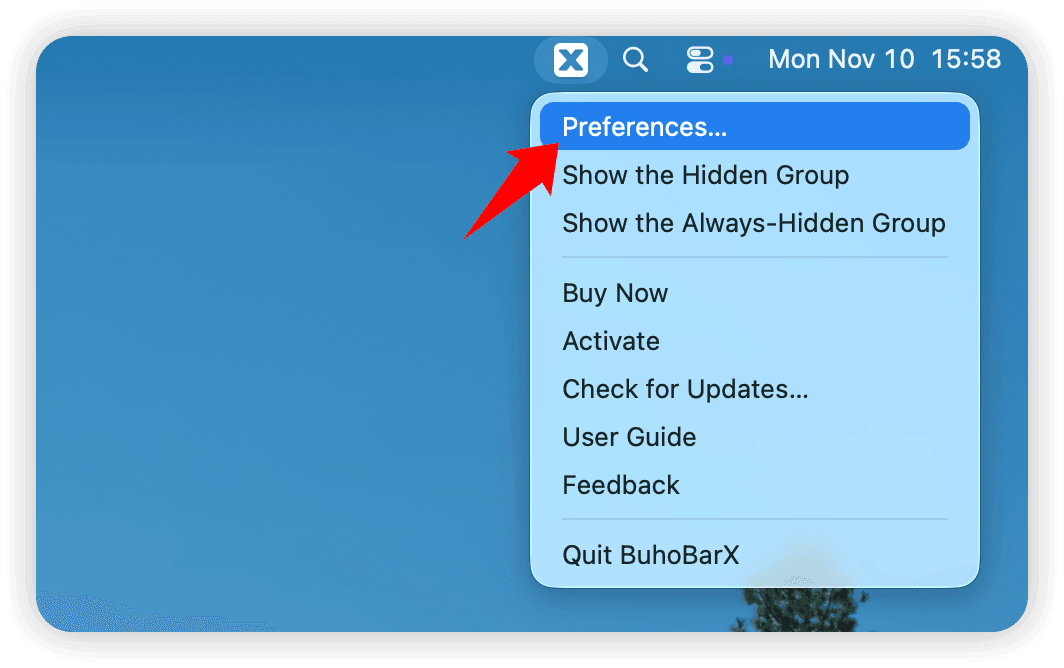 BuhoBarX Perferences