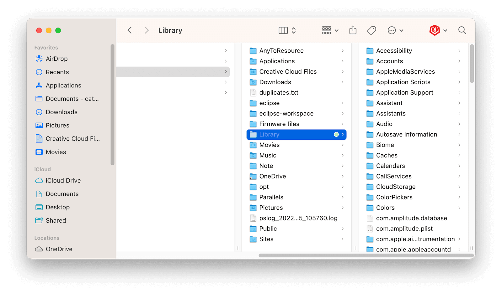 Remove Discord Related Files in Library Folder