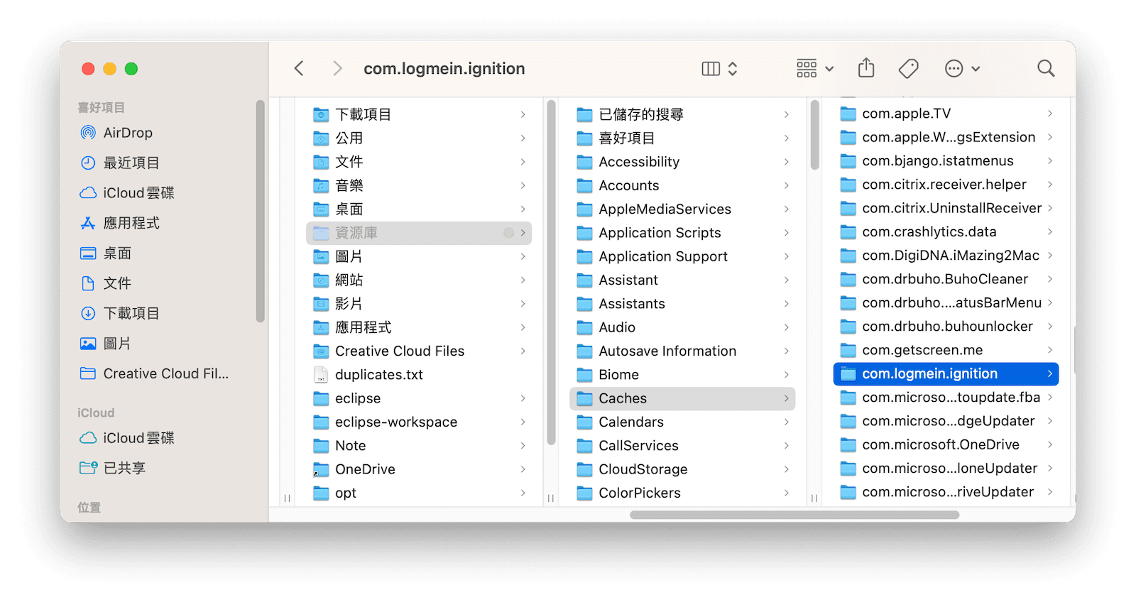 刪除 LogMeIn 程式相關的檔案