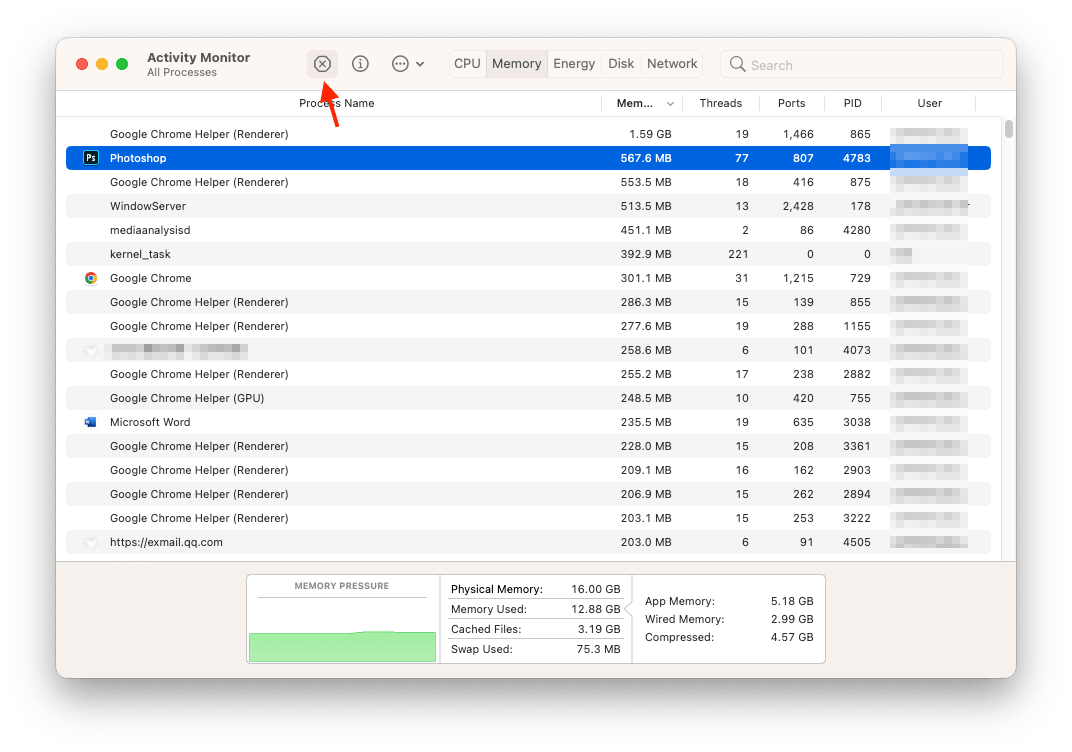 Check RAM Usage on Mac