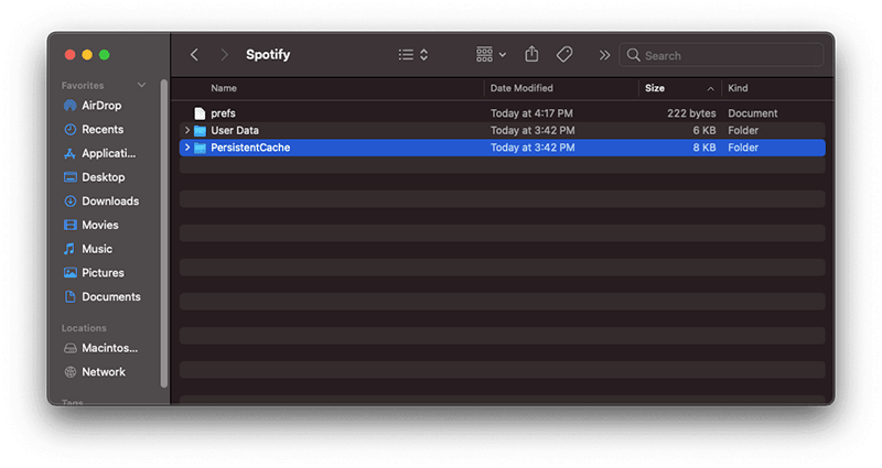 Delete Spotify's PersistentCache