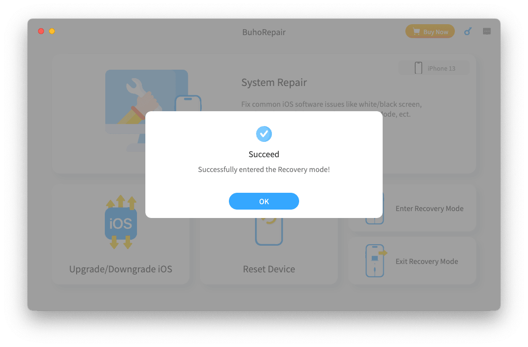 Buhorepair dashboard settings