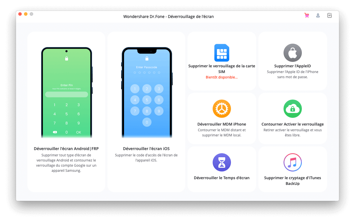 Dr.Fone - Screen Unlock (iOS)