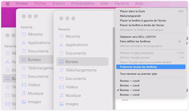 merge-finder-windows_fr.png