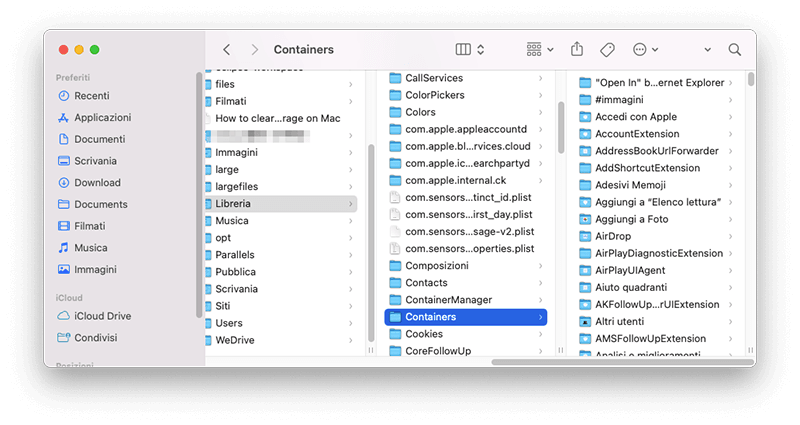 remove-anaconda-related-files-it.png