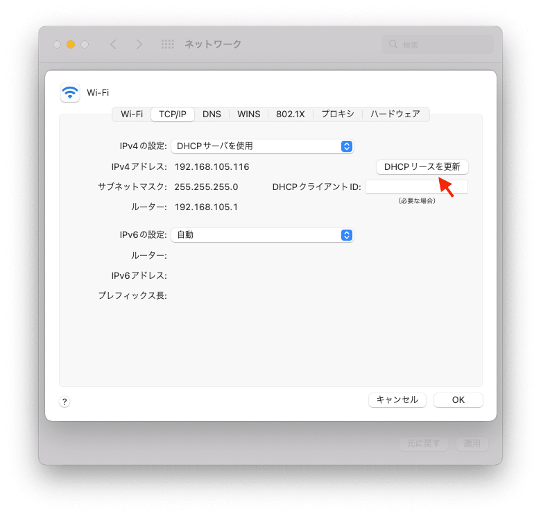 update-dhcp-lease.png