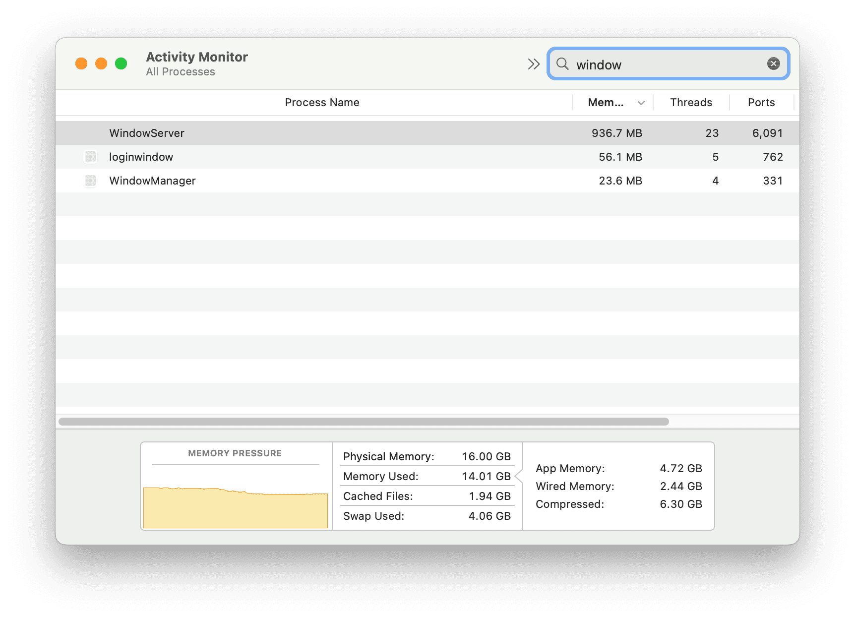 Check Memory Usage on Mac