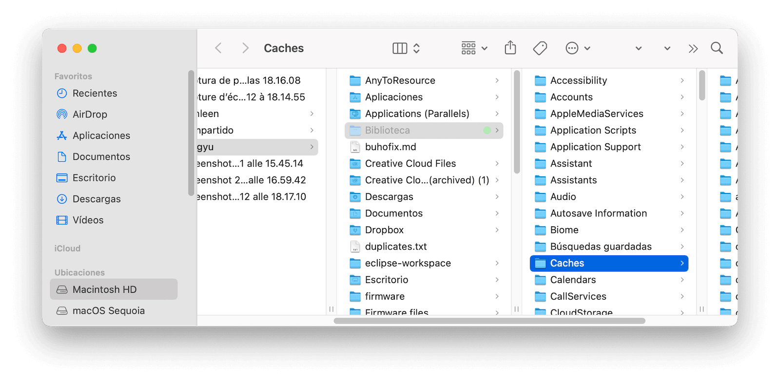 clear-cache-mac-es.png