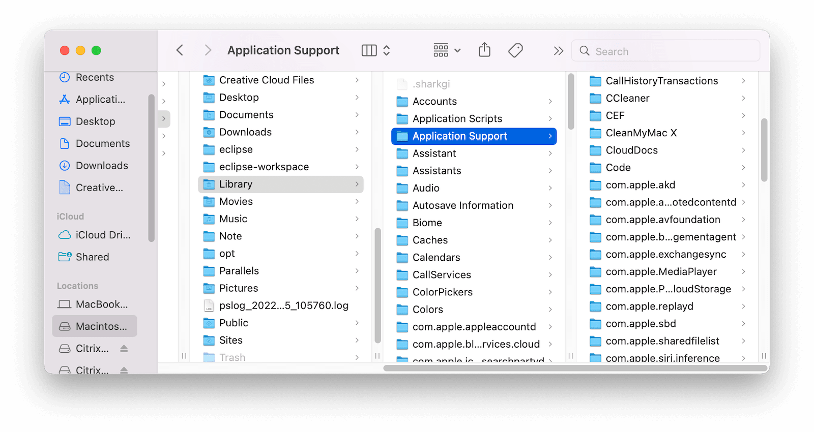 Delete Citrix Workspace Leftovers on Mac
