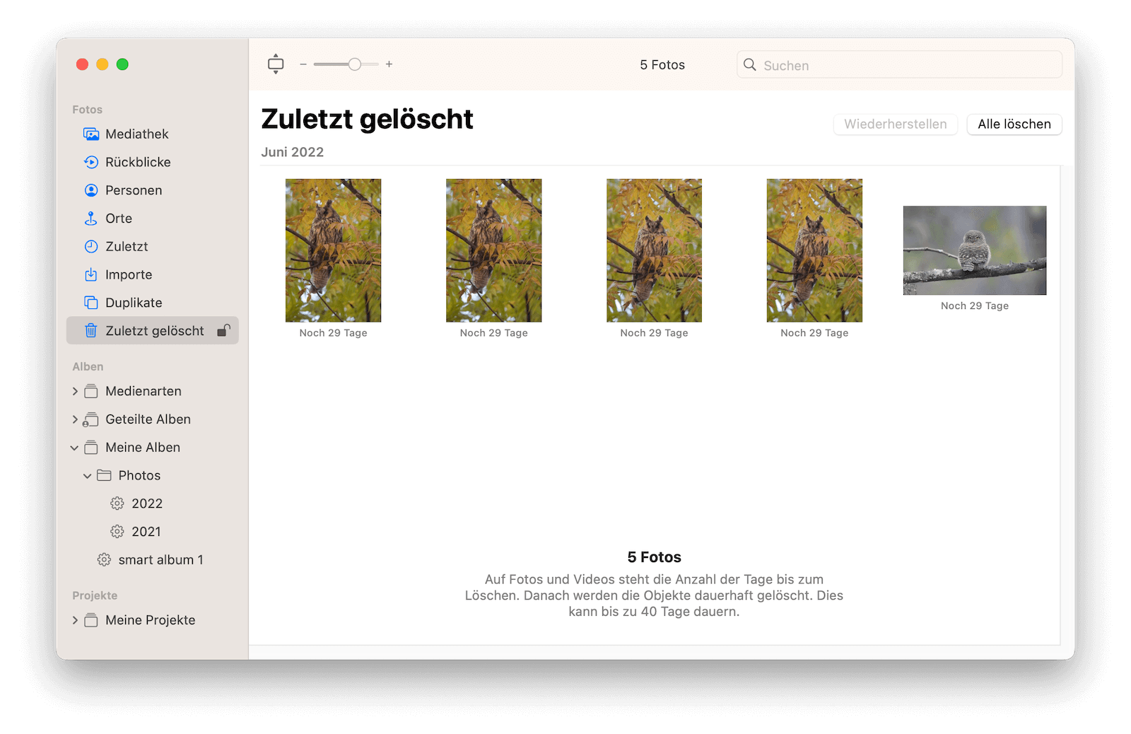 delete-all-recenetly-deleted-photos-mac.png