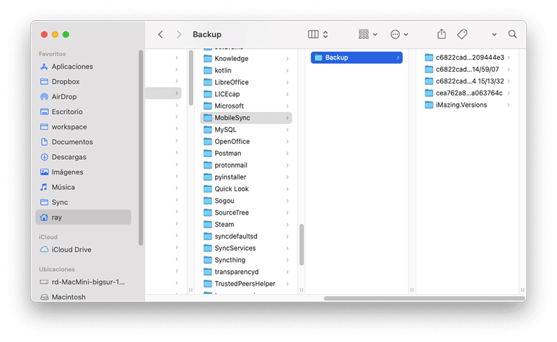 delete-old-ios-backups-es.png