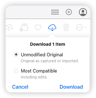 Download Photos from iCloud