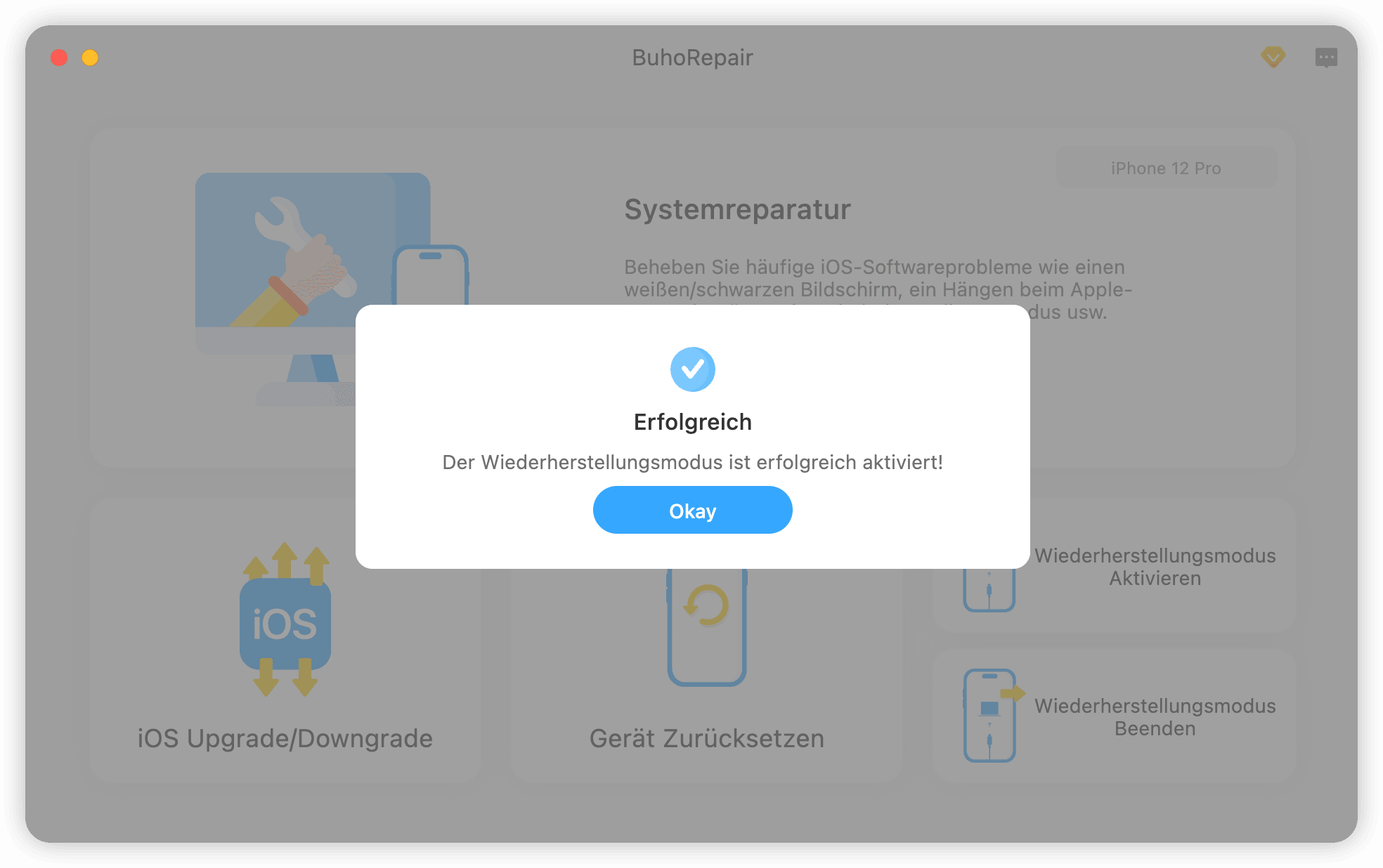 Wiederherstellungsmodus erfolgreich aktivieren