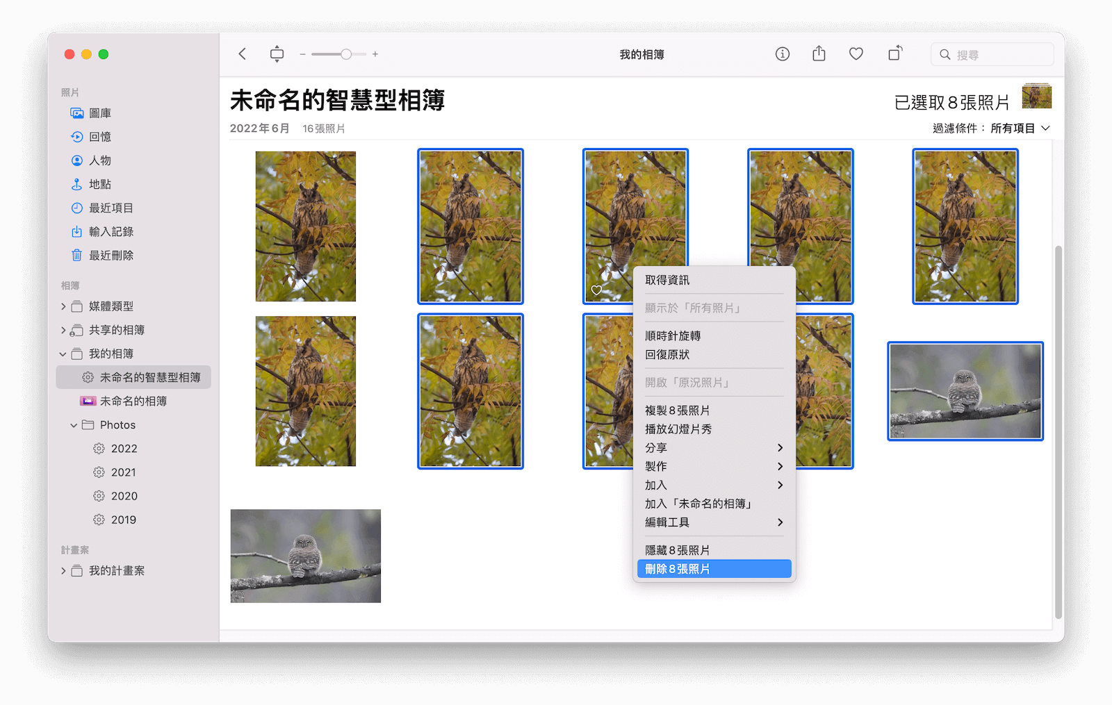在「照片」應用中手動搜尋重複照片