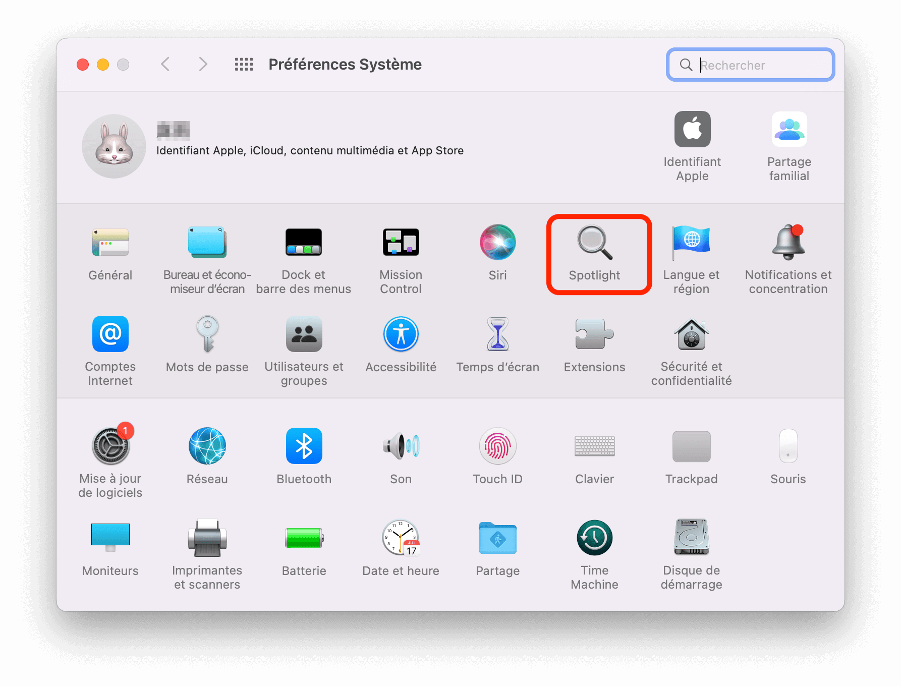 open-spotlight-settings.png