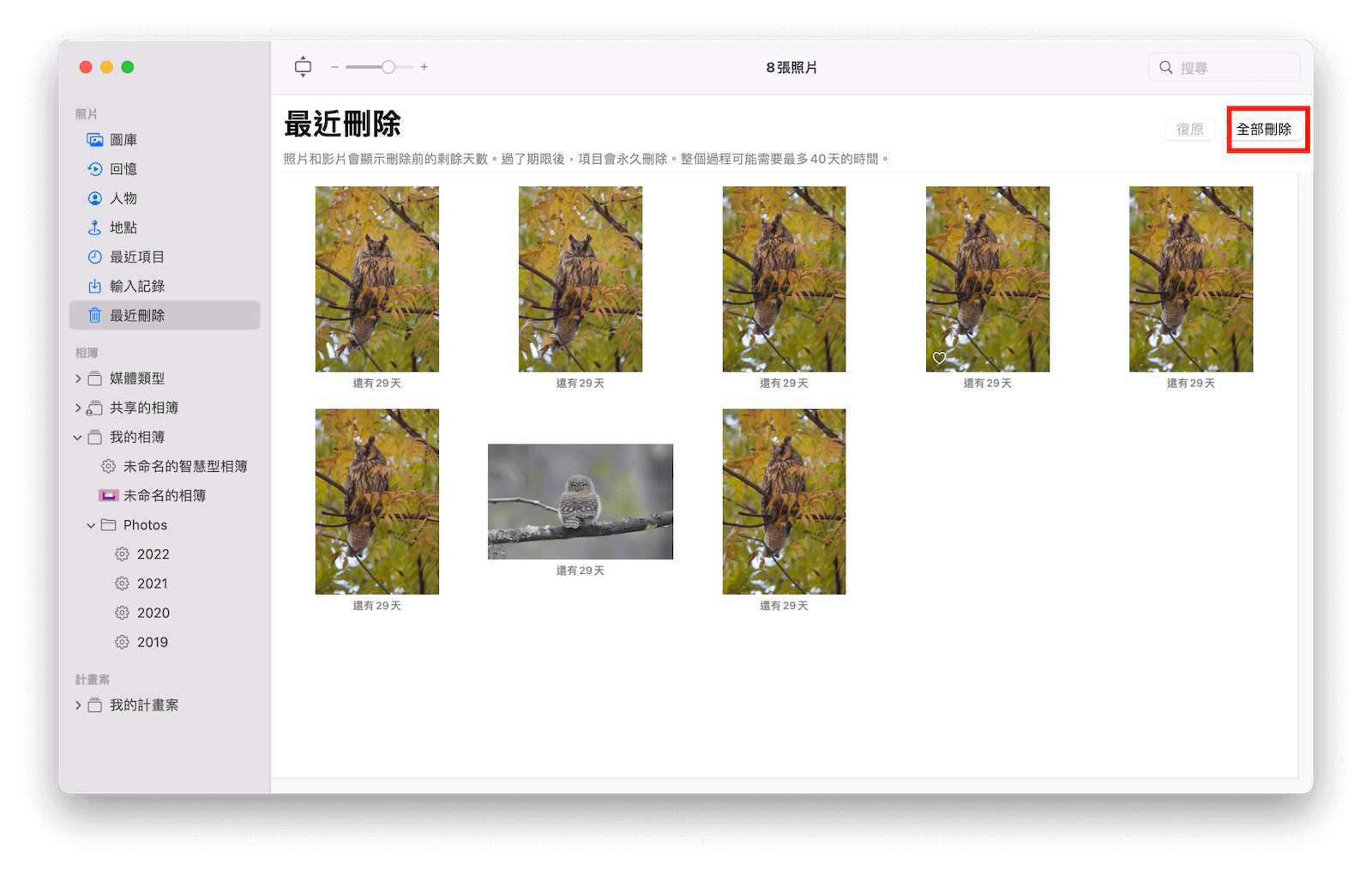 永久刪除重複照片