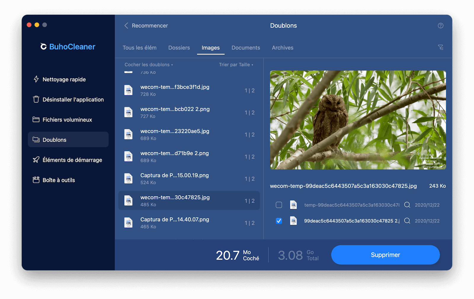 quickly-delete-duplicate-photo-buhocleaner-fr