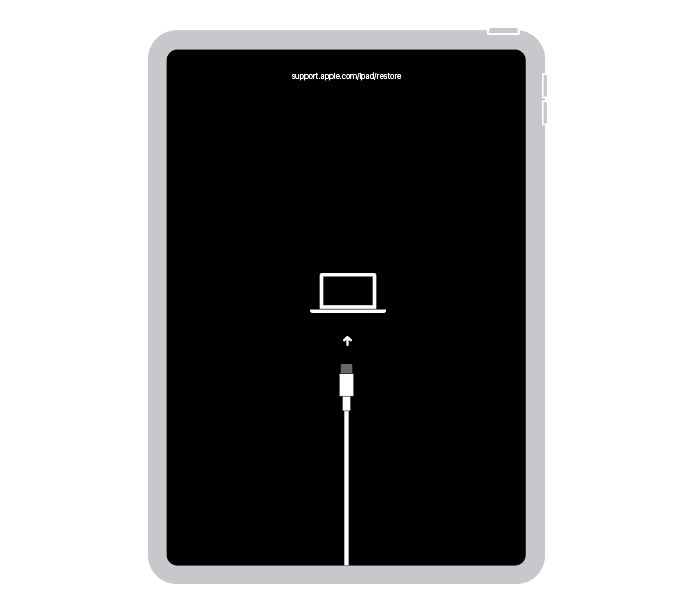 iPad in Recovery Mode