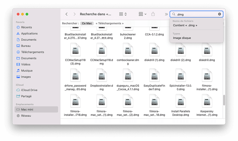 remove-dmg-files-mac-fr.png