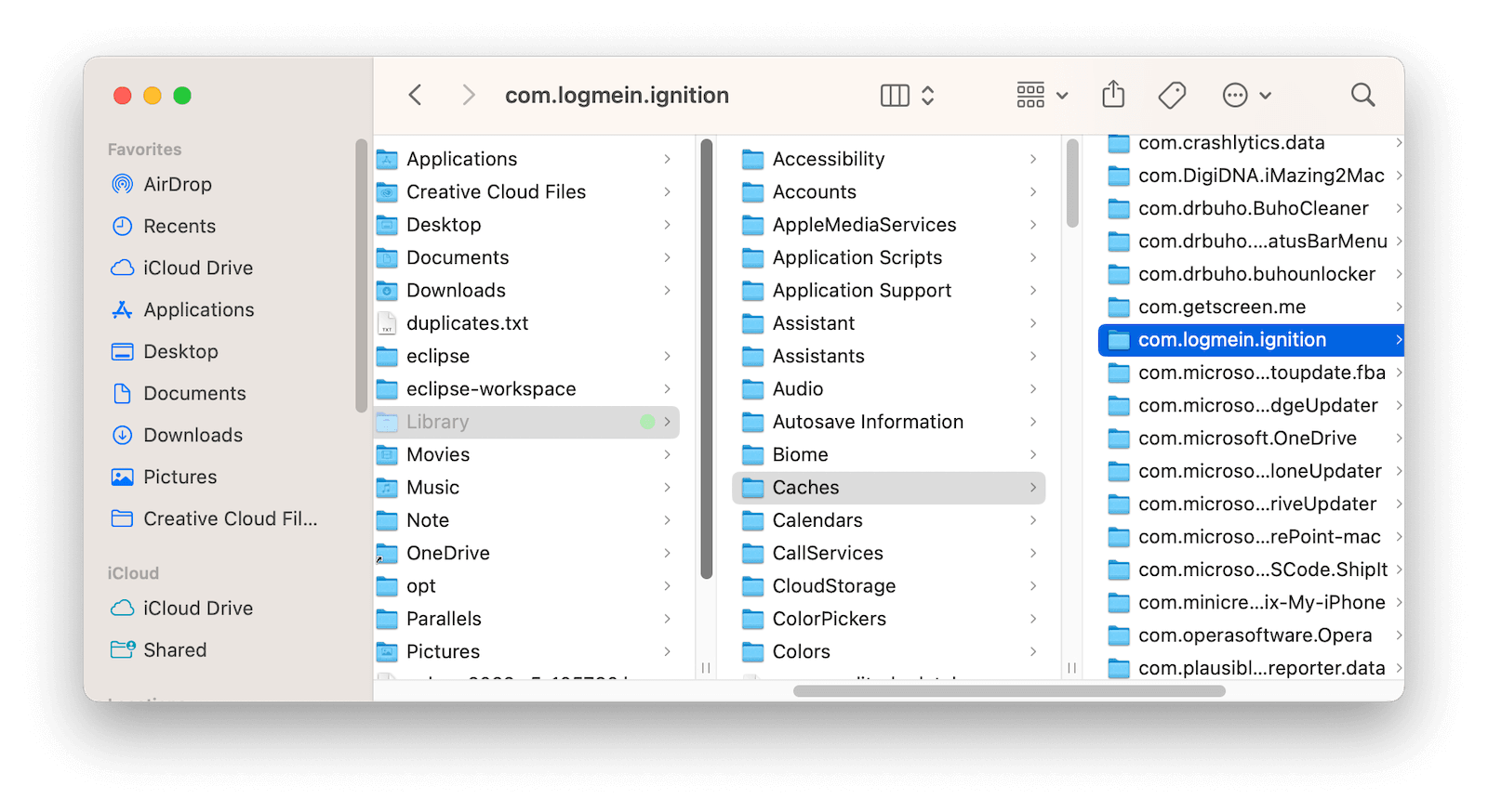 Remove LogMeIn Related Files to Trash
