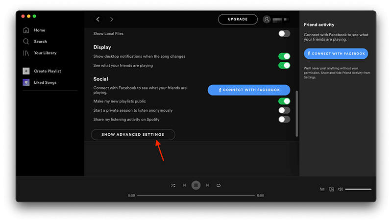 Spotify Advanced Settings
