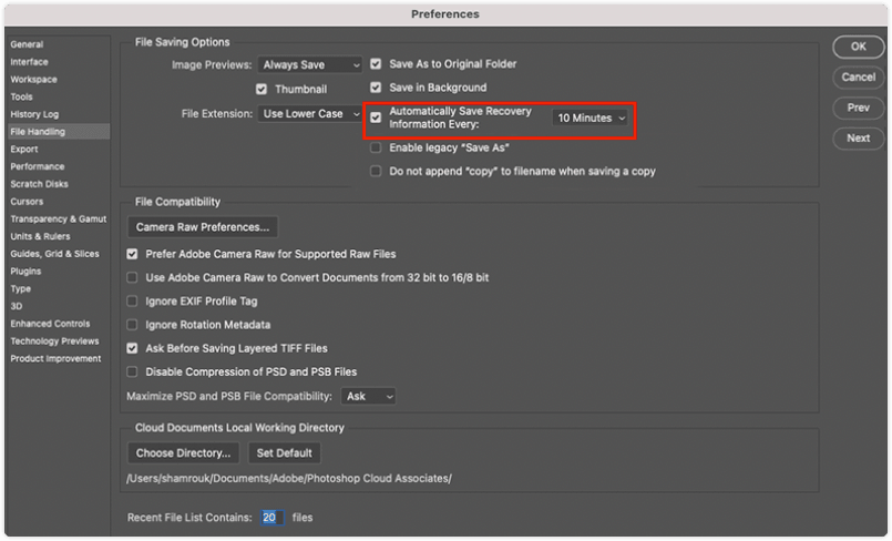 How to Disable Auto Recovery of Photoshop