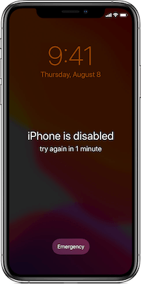 iPhone Disabled or Locked