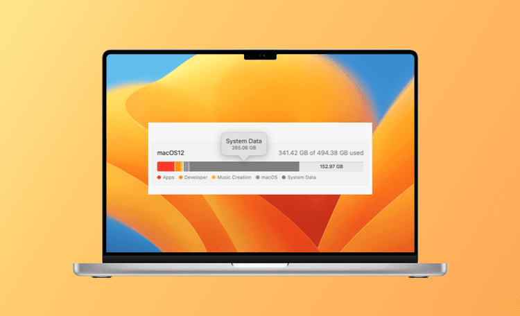 Mac System Data Storage Large? Here's How to Clear It