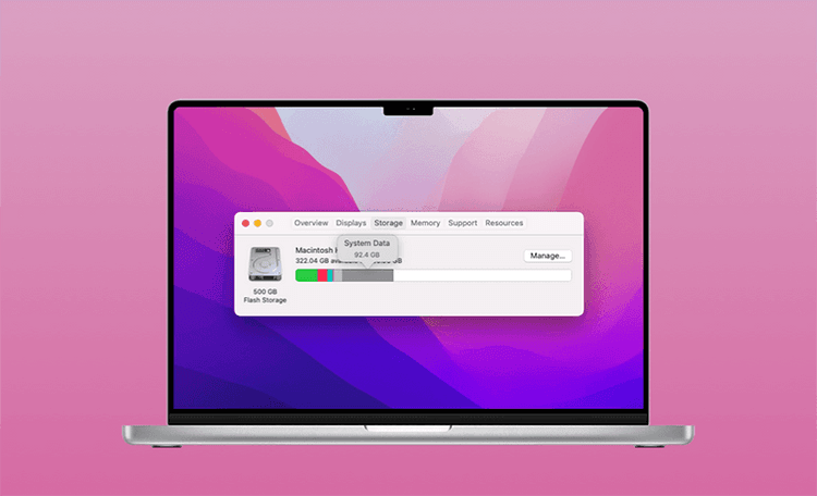 Cómo borrar el almacenamiento del Sistema en Mac