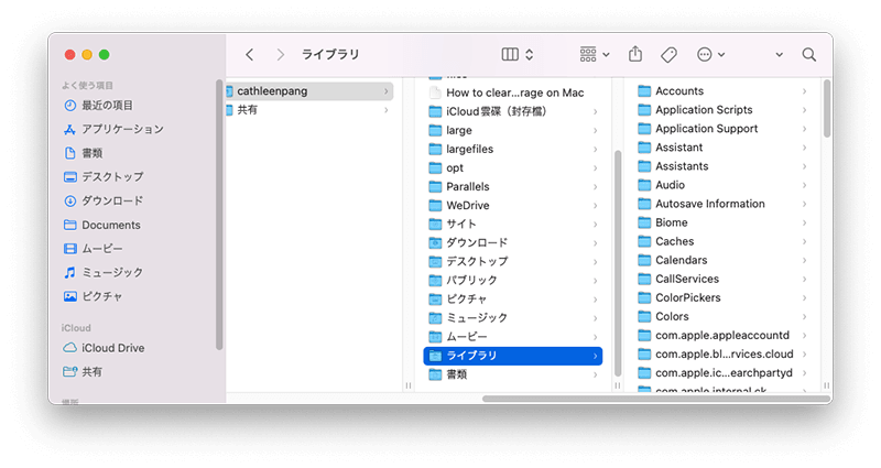 remove-imovie-related-files-jp.png