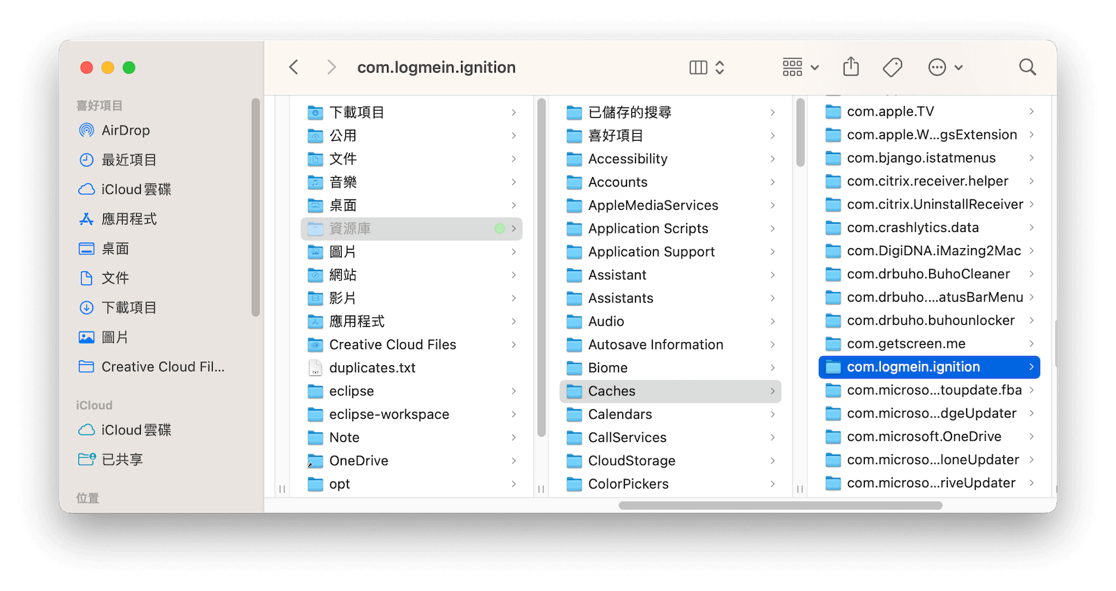 remove-logmein-related-files-mac.png