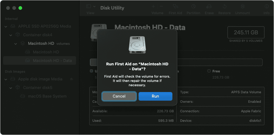 Repair Disk in macOS Recovery Mode