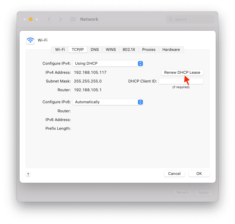 How to Update TCP Lease on Mac
