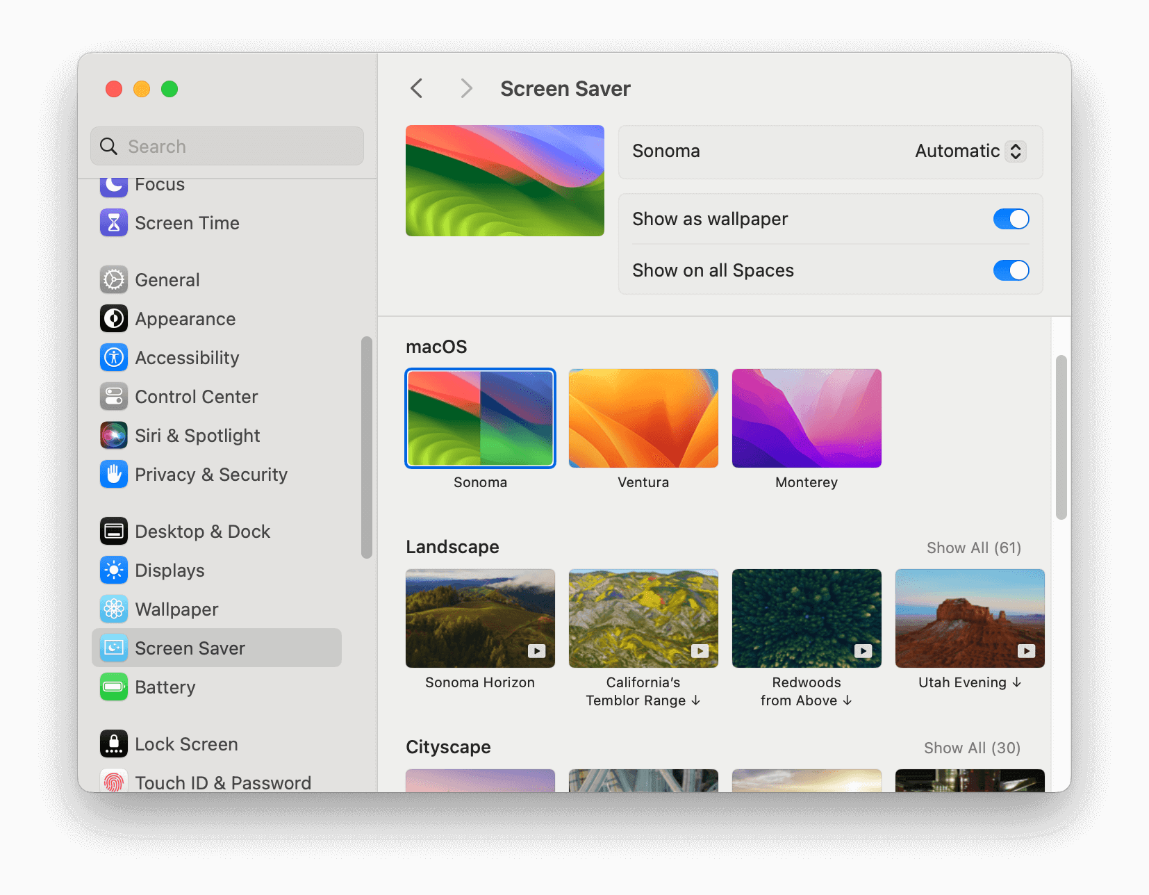 Change Screen Saver Settings on Mac