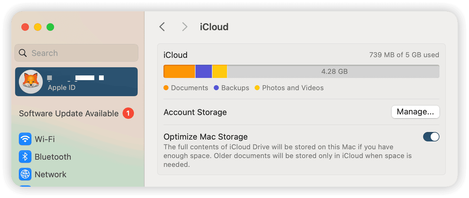 How to check iCloud storage on Mac