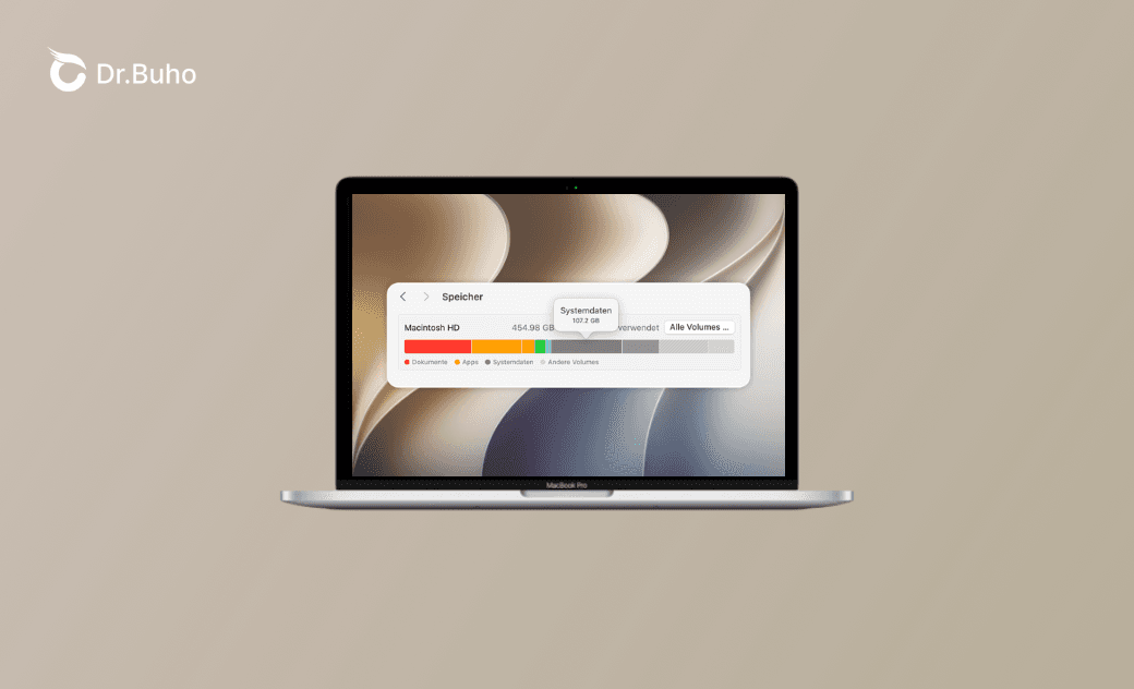 Mac Systemdaten bereinigen