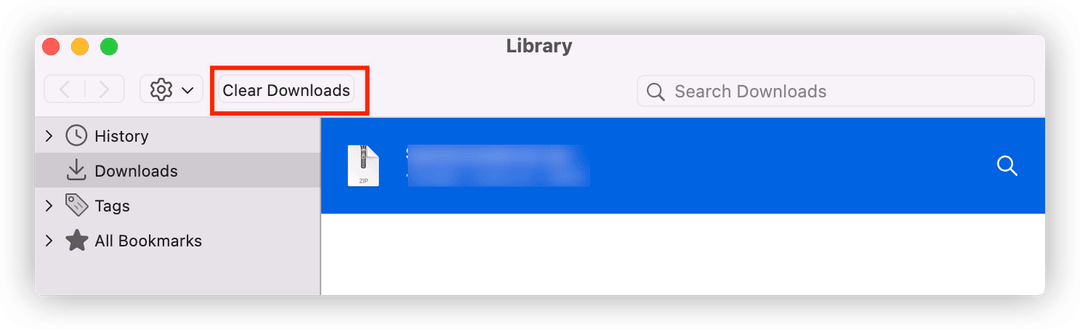 Delete Download History in Safari